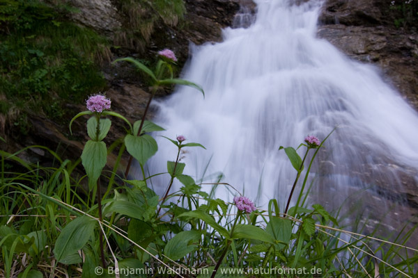 Oberer Wasserfall