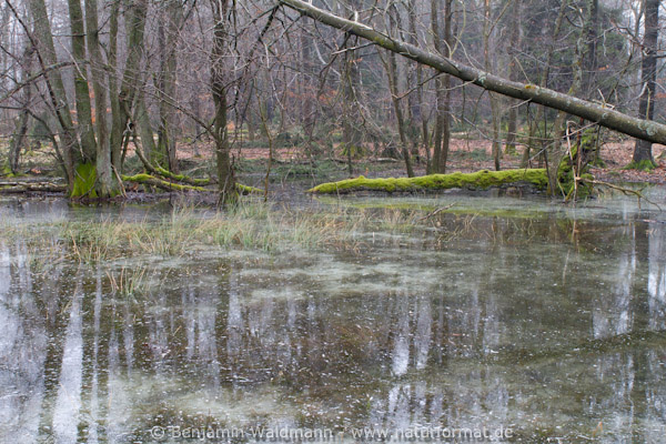 Himmelsteich