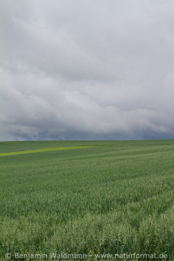 Agrar-Steppe