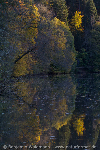 abendliche Spiegelung