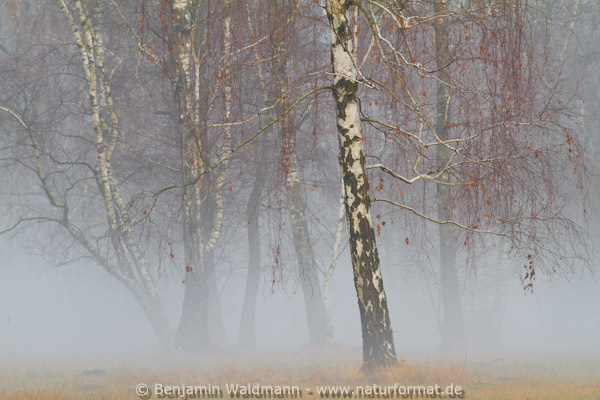Dezember 2011