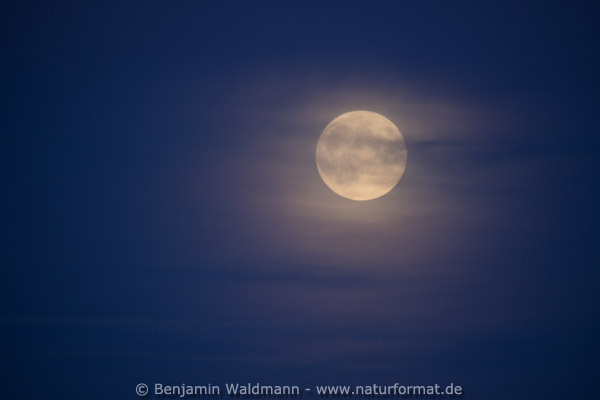 Vollmond