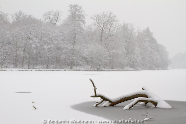 Januar 2012