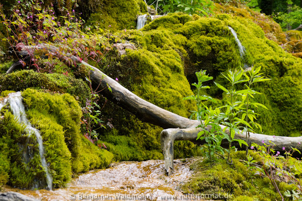 Gütersteiner Wasserfall