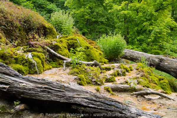 Gütersteiner Wasserfall