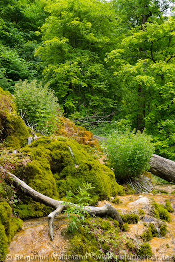 Gütersteiner Wasserfall