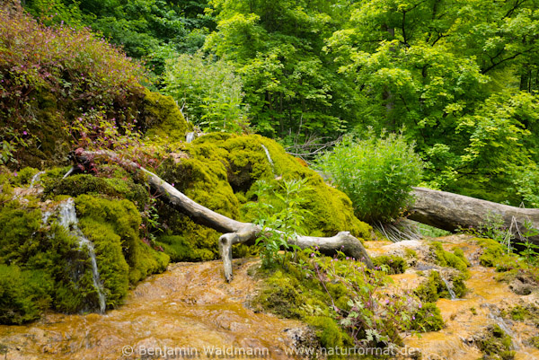 Gütersteiner Wasserfall