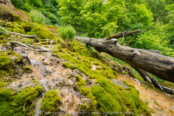 Gütersteiner Wasserfall