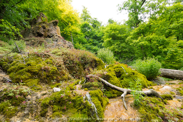 Gütersteiner Wasserfall