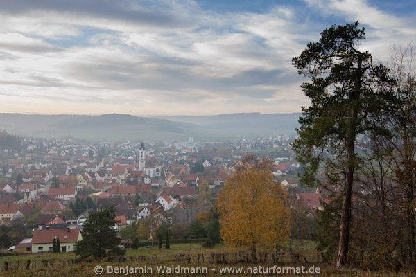 Dischingen