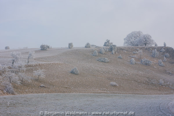 Läutenberg bei Giengen
