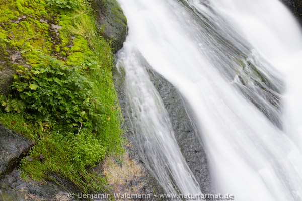 Triberger Wasserfall