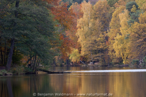 Herbststimmung