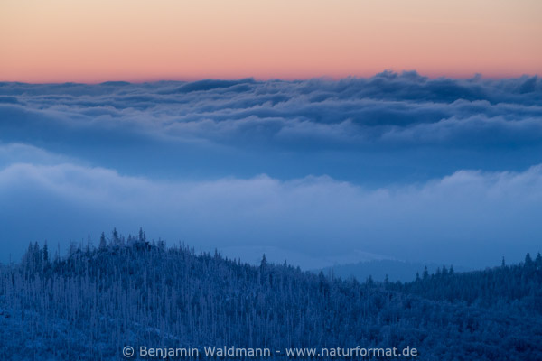 März 2015