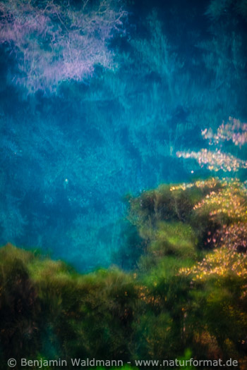 Blautopf