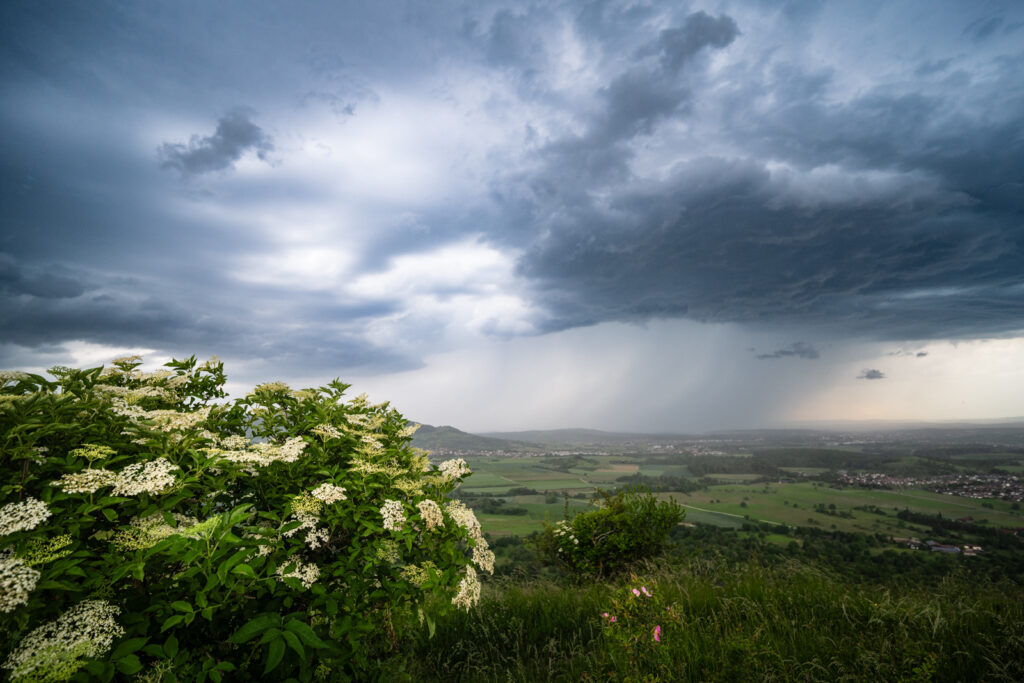 Gewitter über der Limburg