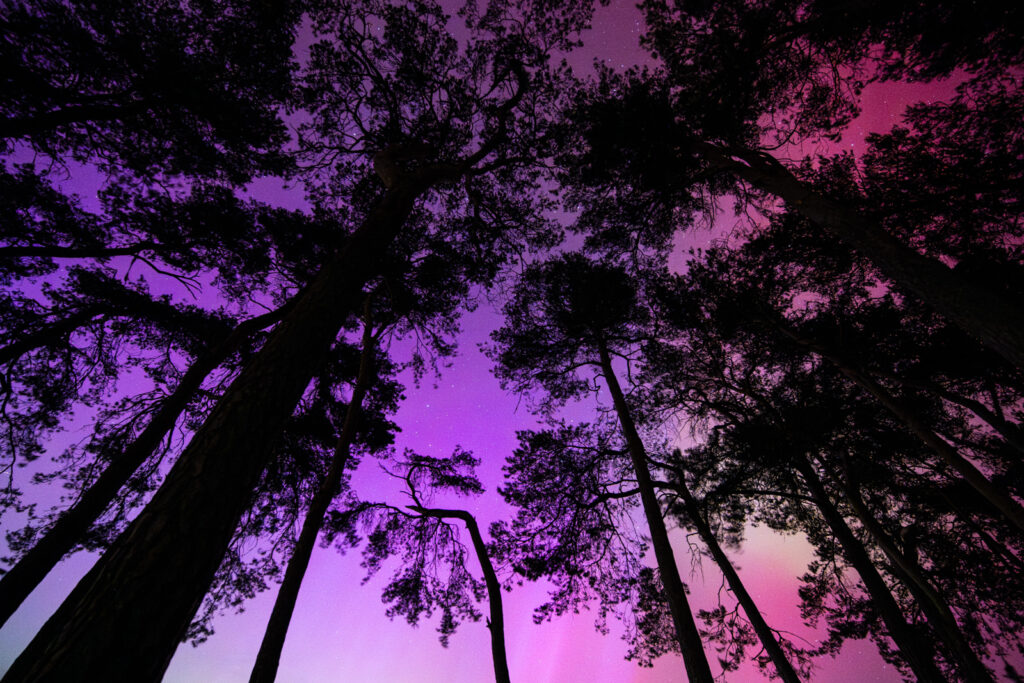 Polarlicht über Schwäbischer Alb